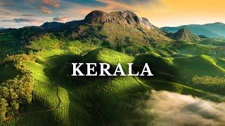 Kerala’s Most Beautiful Place | Munnar | South India