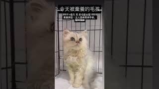 2025年3月29日