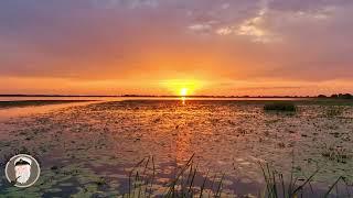 Excursii Delta Dunarii la Apus by Ciprian Safca septembrie 2023. Sunset tour in the Danube Delta