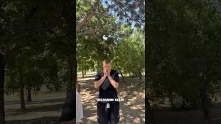 хорошая история получилась #reels #бизнес #обзор #бизнесснуля #товарка