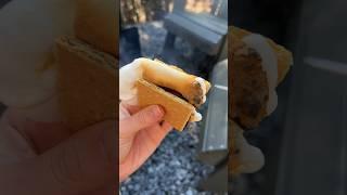 готовим s’more или любимый зефир на огне! #vlog