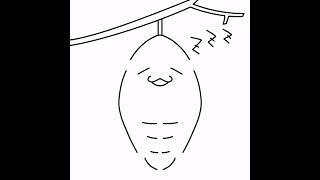번데기 ( #pupa ) 친구 그리기 #shorts