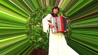 THE  SOUND OF SILENCE - #accordionmusic  - Wiesia