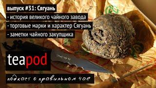 TeaPOD: подкаст о чае. Выпуск 31: Сягуань и заметки чайного закупщика