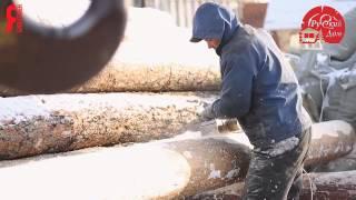 ЯБ2014 Русский Дом