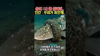 타이어에 갇힌 상어... 인간은 미안하다고 말했다.