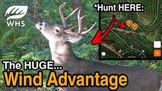 How To Hunt Deer In High Winds