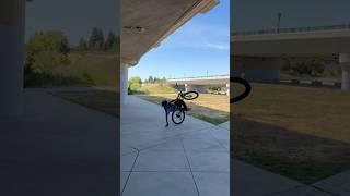New learn at the end #bikelife #wheelies #wheeliebike #biking #biketricks #wheeliestunt