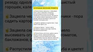 Огородные весенние приметы #дача #огород #полезныесоветы #советы