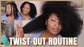 MY CURLY HAIR TWIST OUT | Natural Hair Twist Out Routine