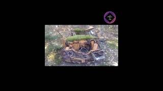 NATURE RECLAIMS VINTAGE CAR - Make or Model? #mothernature #vintagecars #rust #wilderness #outdoors