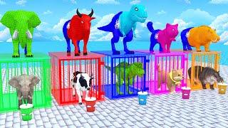 Spiderman Elephant Buffalo Dog Dinosaur Choose Right Drink ESCAPE ROOM CHALLENGE Animals Cage Game