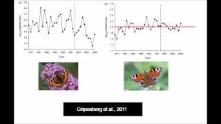 S.bella and small tortoiseshell. Podcast breakdown