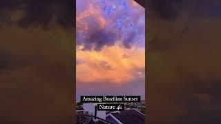 Amazing Brazilian Sunset - Nature in 4K #natureza #nature #shorts #peace #sky #sunset #4k #wonderful