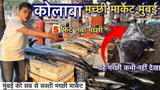 COLABA FISH MARKET IN MUMBAI 2024|| Sassoon Dock Fish Colaba In Mumbai, Wholesale and Retail market