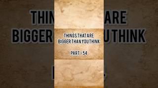 Things That Are Bigger Than You Think  #thingsthatarebiggerthanyouthink #justvideo