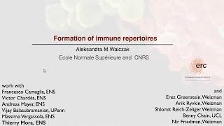 Formation of Immune Repertoire