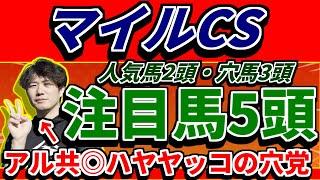 2024年マイルCSの全頭診断【買いたい穴馬TOP3】直近アルゼンチン共和国杯◎ハヤヤッコ10人気1着、武蔵野Sカズペトシーン5人気2着など