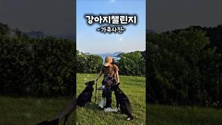 [물빛소리정원] 보기만해도 힐링된다!  인생사진핫플 애견동반카페발견!!