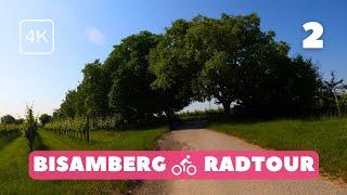 Verborgene Trails! Vom Bisamberg hinunter nach Stammersdorf