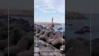 210510 오늘의바다는 옥계금진해변 | 시니어봄TV