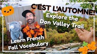 C'est l'automne! / Virtual Field Trip / Don Valley Trail / Fall French Vocabulary For Kids