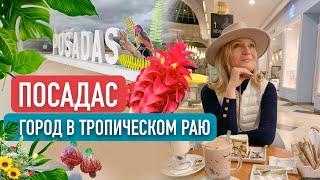 Где жить в Аргентине? Посадас -- город в тропическом раю!