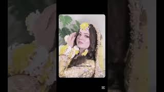 Cutest and prettiest | hafsa khan status | hafsa khan cute moment | hafsa khan |shaheer khan| shafsa