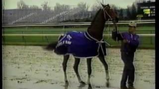 Alysheba Retires