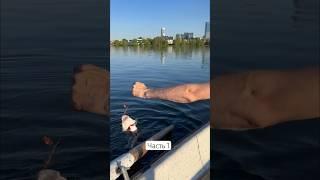 Часть 1. Городская рыбалка на Дроздах #врек #shotrs #спиннинг #ловлярыбы #спиннинг #spinning