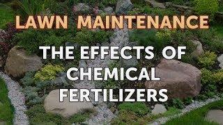 The Effects of Chemical Fertilizers