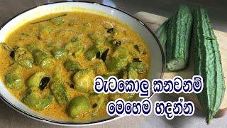 රසට වැටකොලු කන්නනම් මෙහෙම හදන්න - WATAKOLU CURRY RECIPE SINHALA | LUFFA CURRY RECIPE VILLAGE STYLE