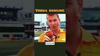 Yorka bowling tips️#_shorts #dangerous #like #_subscribe #cricket #shorts