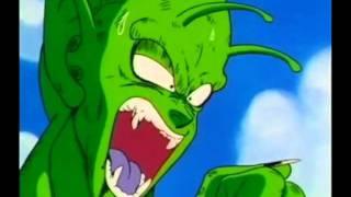 Judge Piccolo