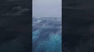 Ocean/Океан