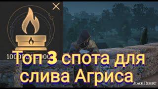 БДО. Куда лучше всего потратить Рвение Агриса? Топ 3 спота для новичков в 2024 году.