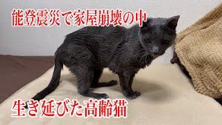 【幸せのお届け】お届け先には輪島から避難してきたお母様と猫ちゃんがいました