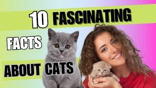 Feline Frenzy  10 Fascinating Facts About Cats #cats #animalfacts