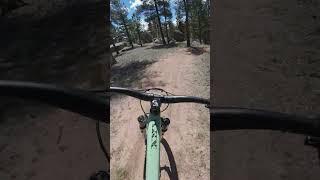 The Sounds of Buffalo Creek #mtb #colorado #mountainbiking #shorts