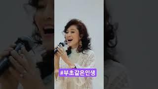 #부초같은인생(원곡/김용임)#상임#모델가수