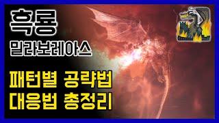 지피지기면 백전백승ㅣ흑룡 밀라보레아스 패턴 공략ㅣ몬스터헌터월드 아이스본