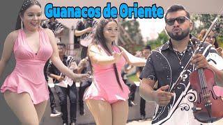 Guanacos de Oriente Videoclip Oficial Amor por Internet 2024