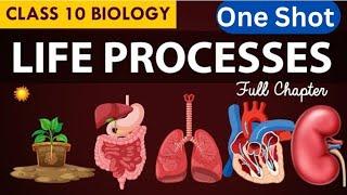 Life Processes One Shot | Class 10 Science | Biology" #lifeprocesses #class10science