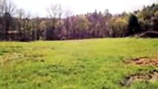 Homes for Sale - 107 S Hwy Lot 5 Del Rio TN 37727 - Cynthia Cureton