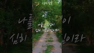 ️오늘의 말씀_6월 셋째주 월요일️#Shorts #2025 #말씀낭독 #성경듣기 #성경말씀 #듣는성경 #성경