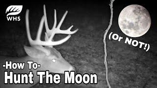 5 Ways To Deer Hunt A Full Moon