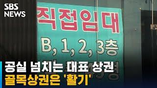 강남, 가로수길보다 잘나가는 '골목상권'…이유는? / SBS
