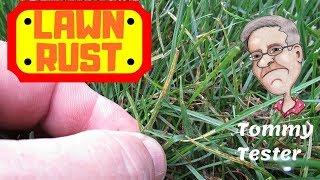 Lawn Rust Fungus | Perennial Rye Grass | Orange Powder Stain