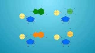 วิชาชีววิทยา - โครงสร้างของดีเอ็นเอ DNA structure
