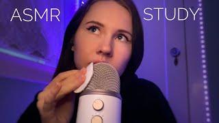 Background ASMR For Intense Studying (No Talking)